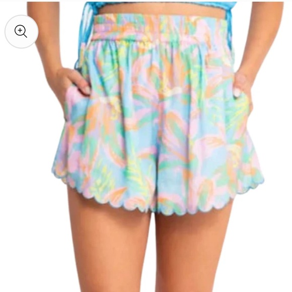 ALDEN ADAIR Celine St Barts Shorts S - Picture 6 of 14